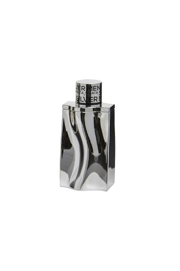 Silver Men Georges Mezotti EDT 100 ml Erkek Parfüm