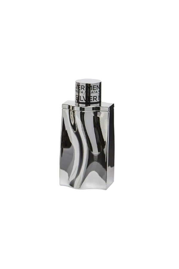 Silver Men Georges Mezotti EDT 100 ml Men's Perfume